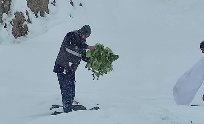 Van’da yaban hayvanları için doğaya yem bırakıldı