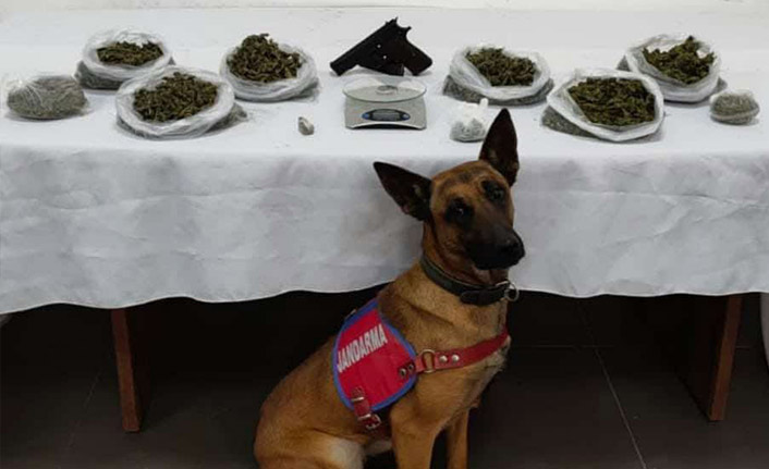 Trabzon'da uyuşturucu operasyonu: 2 kişi yakalandı - 17 Ocak 2022 - Video Haber