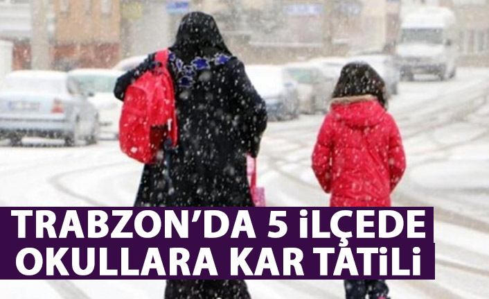 Trabzon'un 5 ilçesinde okullara kar tatili!