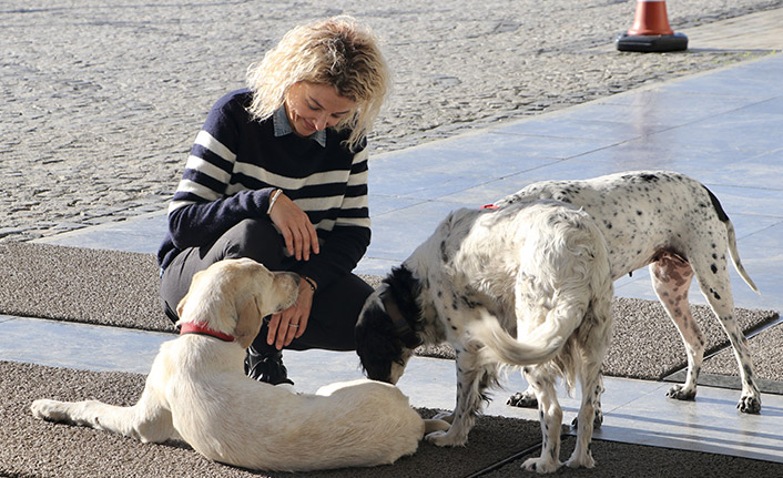 Trabzon'da çalıştığı işletmenin kapılarını açtığı sokak hayvanlarının bakımını üstlendi