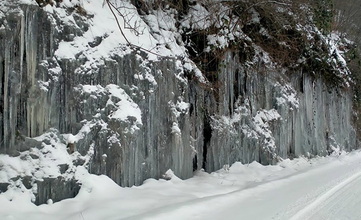 Ordu’da donduran görüntü