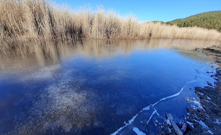 Gazetecinin buzla imtihanı