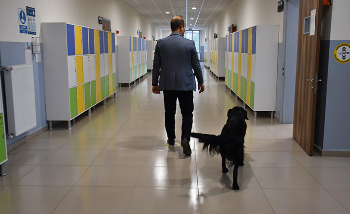 Trabzon'da okul müdürü, sahiplendiği "Pars" ile köpek korkusunu yendi