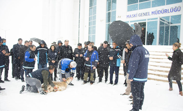 Malatya’da yoğun kar için şükür kurbanı