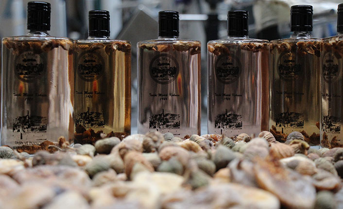 Mardinli mühendisten incir kolonyası