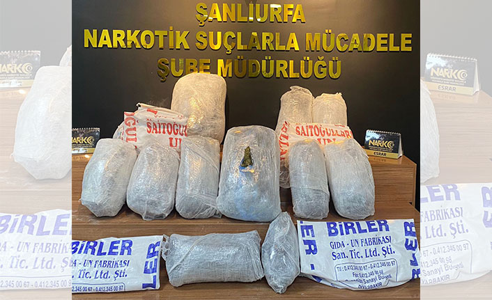Şanlıurfa'daki 'torbacı' operasyonunda 9 tutuklama