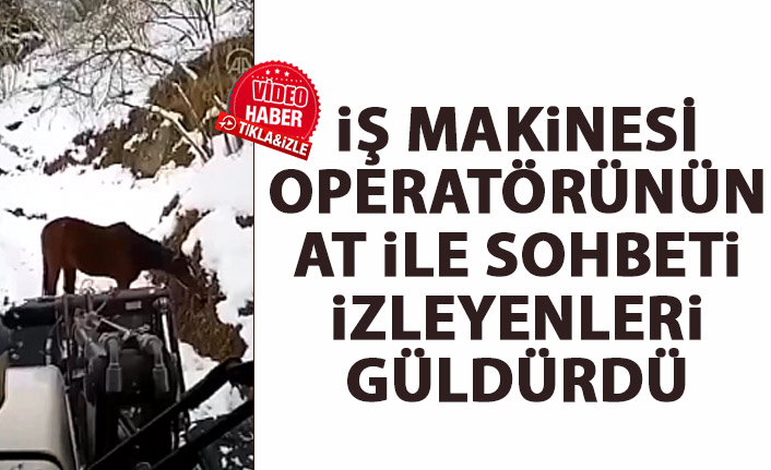 İş makinesi operatörünün at ile sohbeti gündürdü
