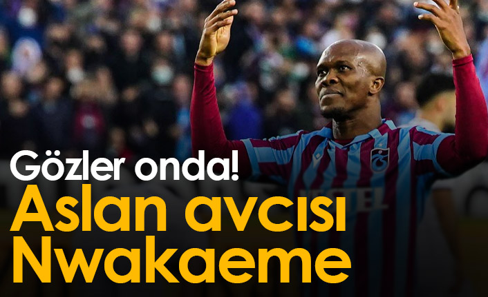 Aslan avcısı Nwakaeme