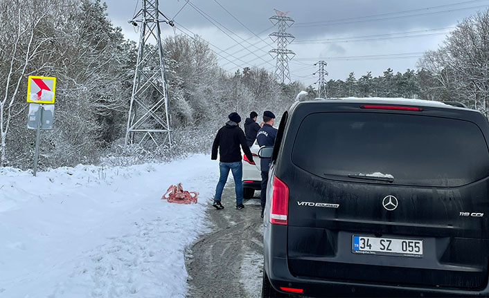 Jandarma sokak hayvanlarını besledi