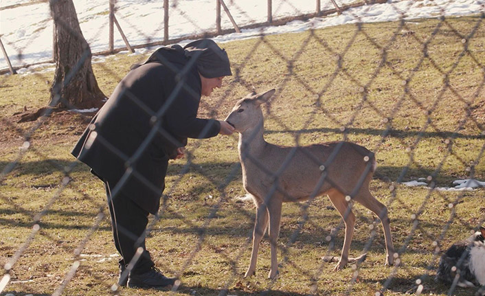 Trabzon'da Ömür isimli karacaya anne şefkati