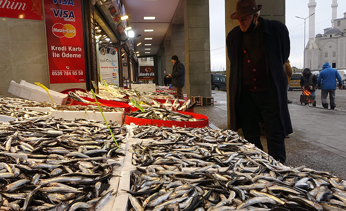 Karadeniz'de kar yağışı sonrası hamsi bereketi
