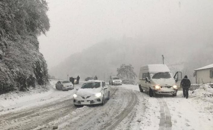 Doğu Karadeniz'de 202 köy yolu ulaşıma kapandı