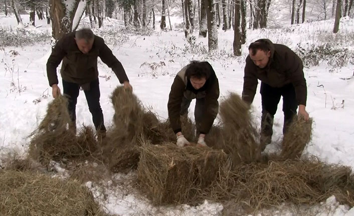 Ocak ayı içerisinde yaban hayvanları için doğaya 15 ton yem bırakıldı