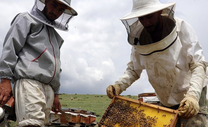 Türk balı geçen yıl 55 ülkede sofralarda yer buldu