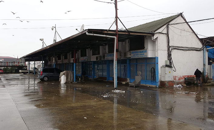 Hamsi bu kez de kara takıldı