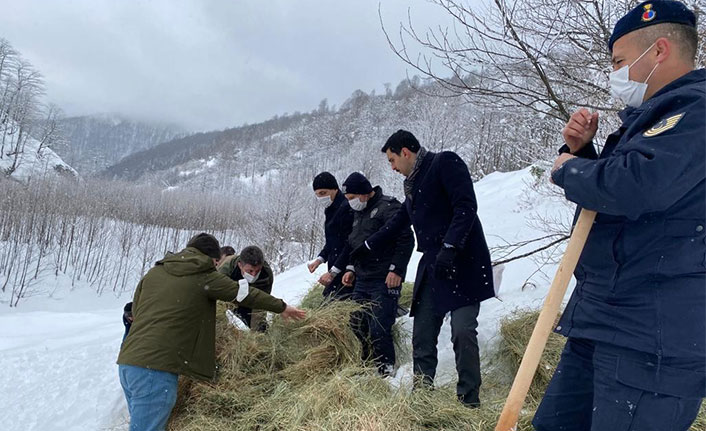 Trabzon'da yaban hayvanları unutulmadı
