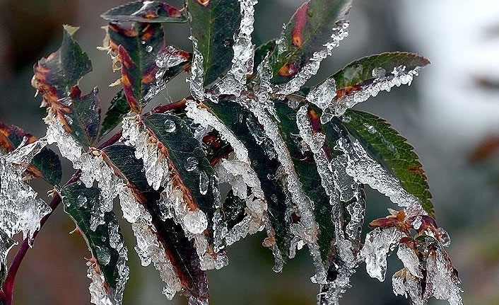 Meteorolojiden çığ, buzlanma ve don uyarısı