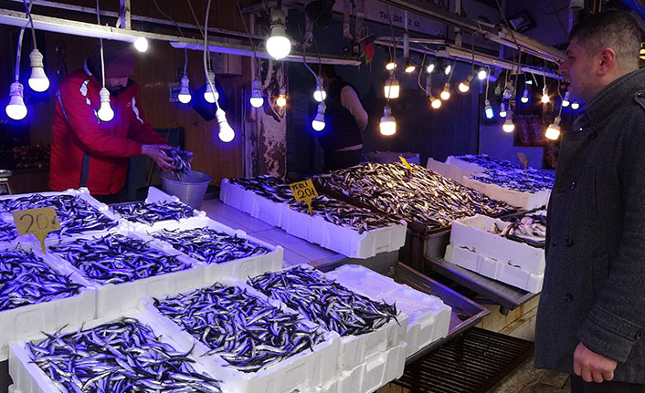 Karadeniz’de hamsi bereketi sürüyor! İşte Trabzon'da fiyatı
