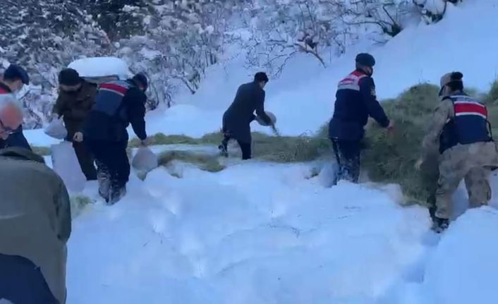 Trabzon’da Jandarma ekipleri can dostlarını unutmadı