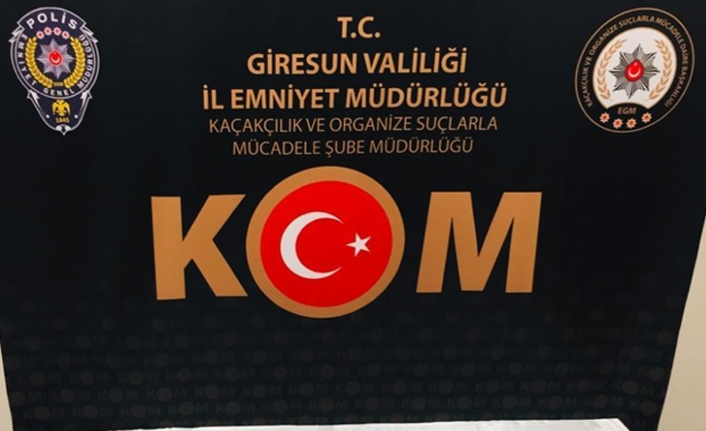 Giresun'da silah kaçaklığı operasyonu