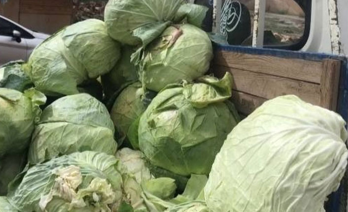 Bayburt'ta kış aylarının vazgeçilmezi "ekşi lahana"