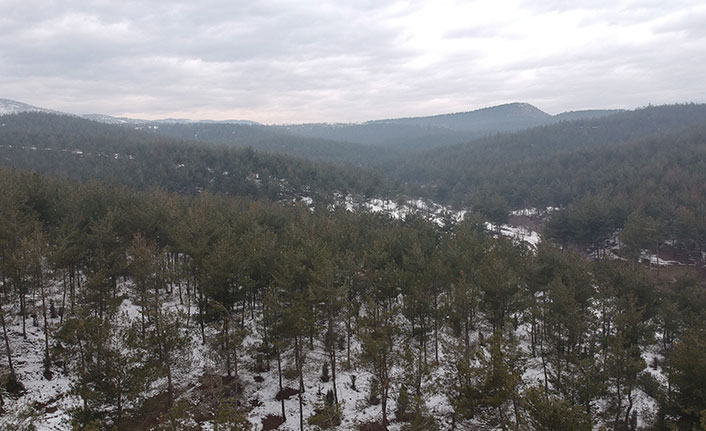 30 milyon ağaç dikerek bölgenin geleceğine dokundu