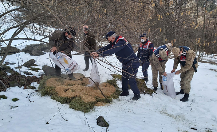 Trabzon'da HAYDİ Timleri yaban hayvanlarını unutmadı
