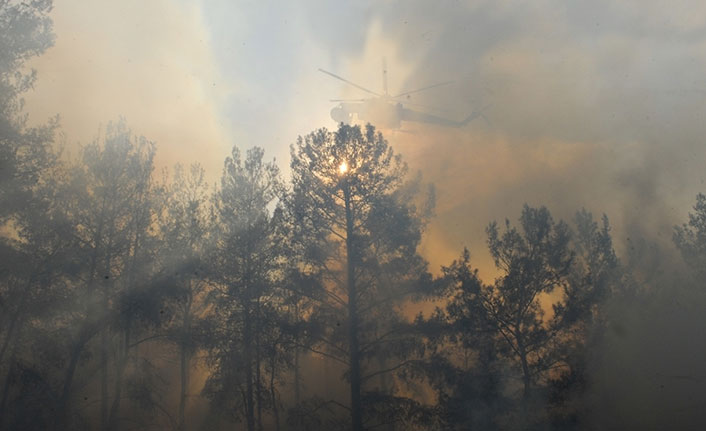 Orman yangınlarına 'yapay zeka' ile anında tespit