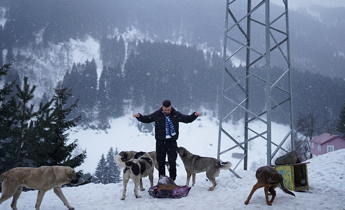Trabzonspor taraftarı sokak hayvanlarını unutmadı