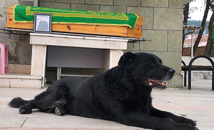 Ölen sahibinin tabutunun başından biran olsun ayrılmadı
