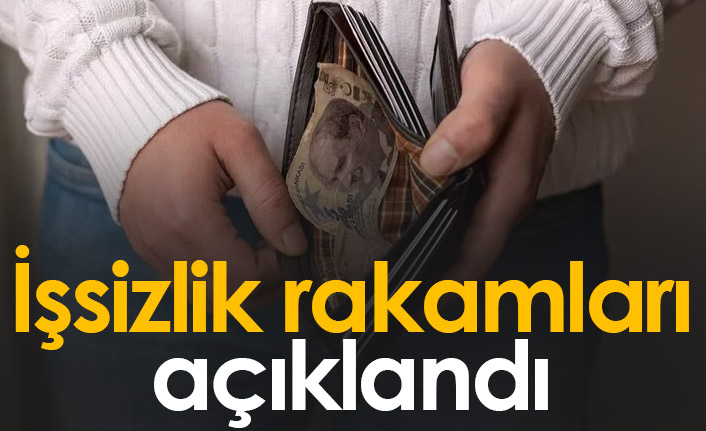Aralık ayı işsizlik rakamları açıkladı