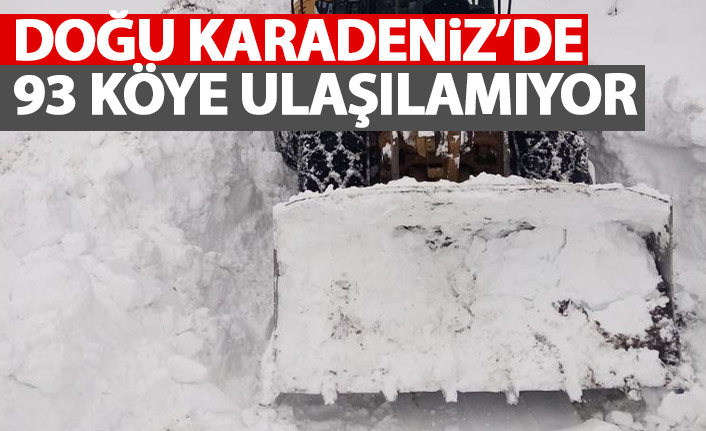 Doğu Karadeniz'de 93 köye ulaşım yok