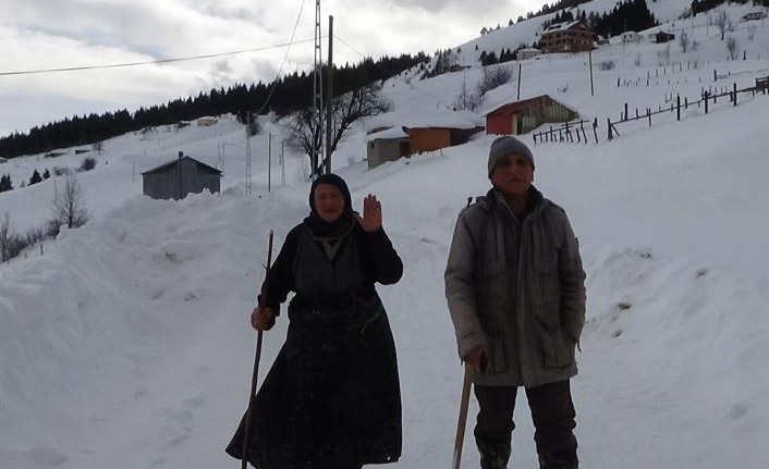 Koronavirüs çıktı yaylaya yerleştiler