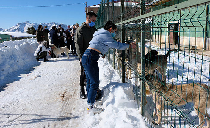 Ortaokul öğrencilerinin geliri barınaktaki hayvanlara mama oldu