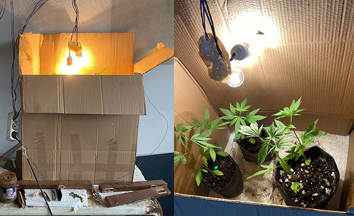 Trabzon’da Jandarmadan baskın! Özel düzenek kurmuşlar