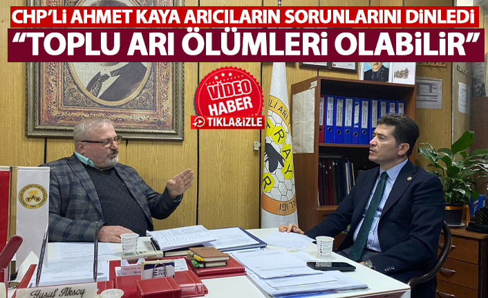CHP'li Ahmet Kaya: Arıcılar şeker alamıyor, toplu arı ölümleri kapıda