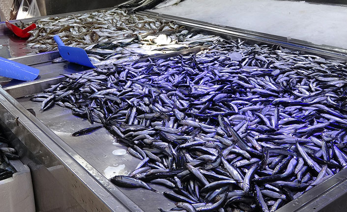 Hamside işler tersine döndü