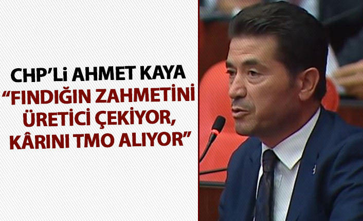 CHP'li Ahmet Kaya "Fındığın zahmetini üretici çekiyor, kârını TMO alıyor"