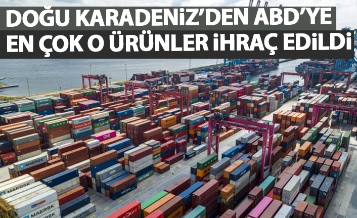 Doğu Karadeniz'den ABD'ye ihracatta o ürünler birinci sırada
