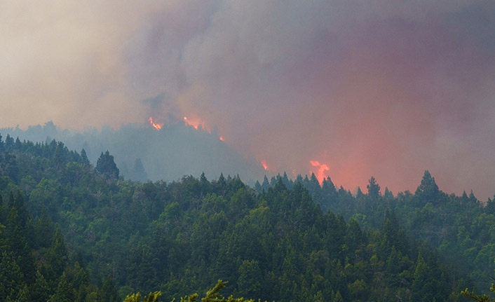 Arjantin'de yangınlarda 785 bin hektardan fazla alan zarar gördü