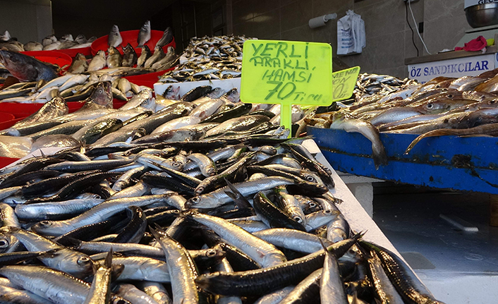 Trabzon'da hamsi fiyatı ne kadar? İşte son durum