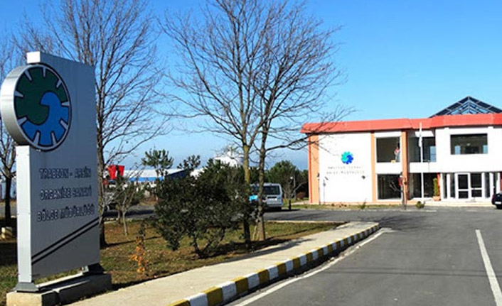 Arsin OSB çatı tipi GES ile kendi enerjisini üretiyor