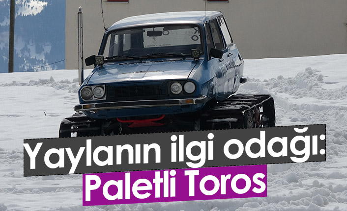 Trabzon'da otomobile palet taktı ilgi odağı oldu