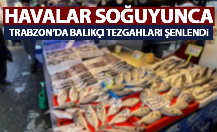 Karadeniz'in soğuyan suyu balıkçı tezgahlarını şenlendirdi