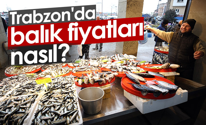 Trabzon'da, tezgahlarda artan balık çeşitliliği fiyatlara da yansıdı. 3 Mart 2022