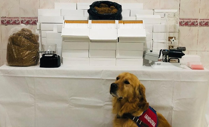 Trabzon’da kaçak sigara üreten şahısa baskın! Adeta fabrika kurmuş