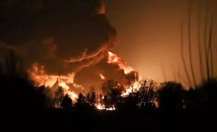 Meksika’da çıkan orman yangınında 22 ev kül oldu