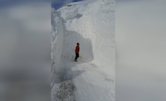 Van'da çığ düştü