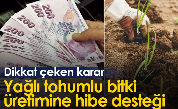 Yağlı tohumlu bitki üretimine hibe desteği