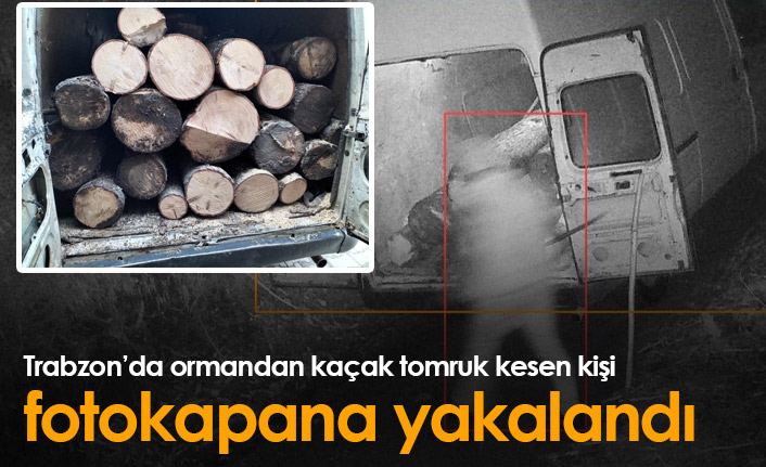 Trabzon'da kaçak tomruk kesen kişi fotokapana yakalandı